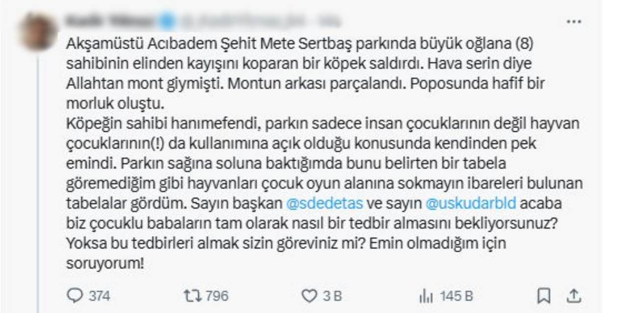 Köpek Saldırısı (1)-5