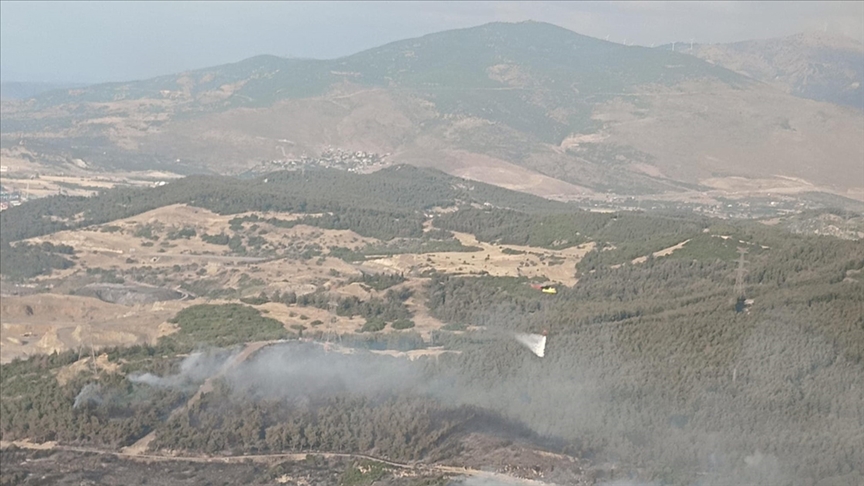 Adana'da çıkan orman yangınına müdahale ediliyor