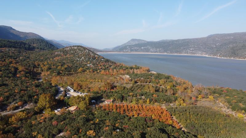 İstanbul'da ormanlara girişler yasaklandı