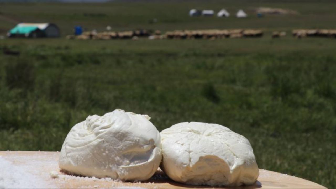Erzincan tulum peynirine AB tescili