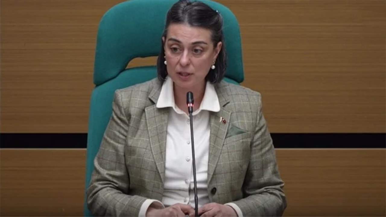 CHP'li Sinem Dedetaş'ın yalanı ortaya çıktı!