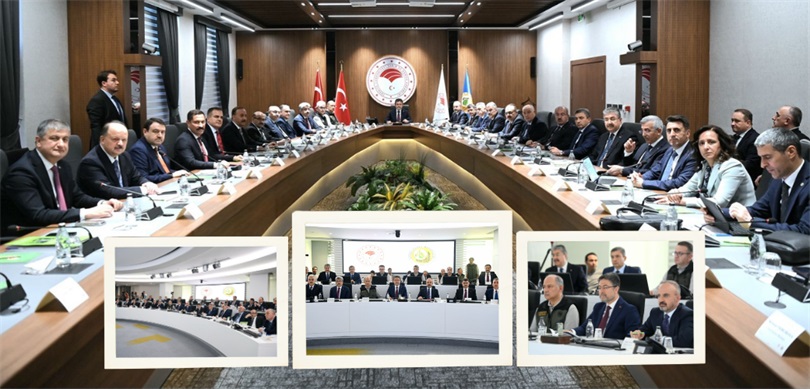 Orman Yangınları