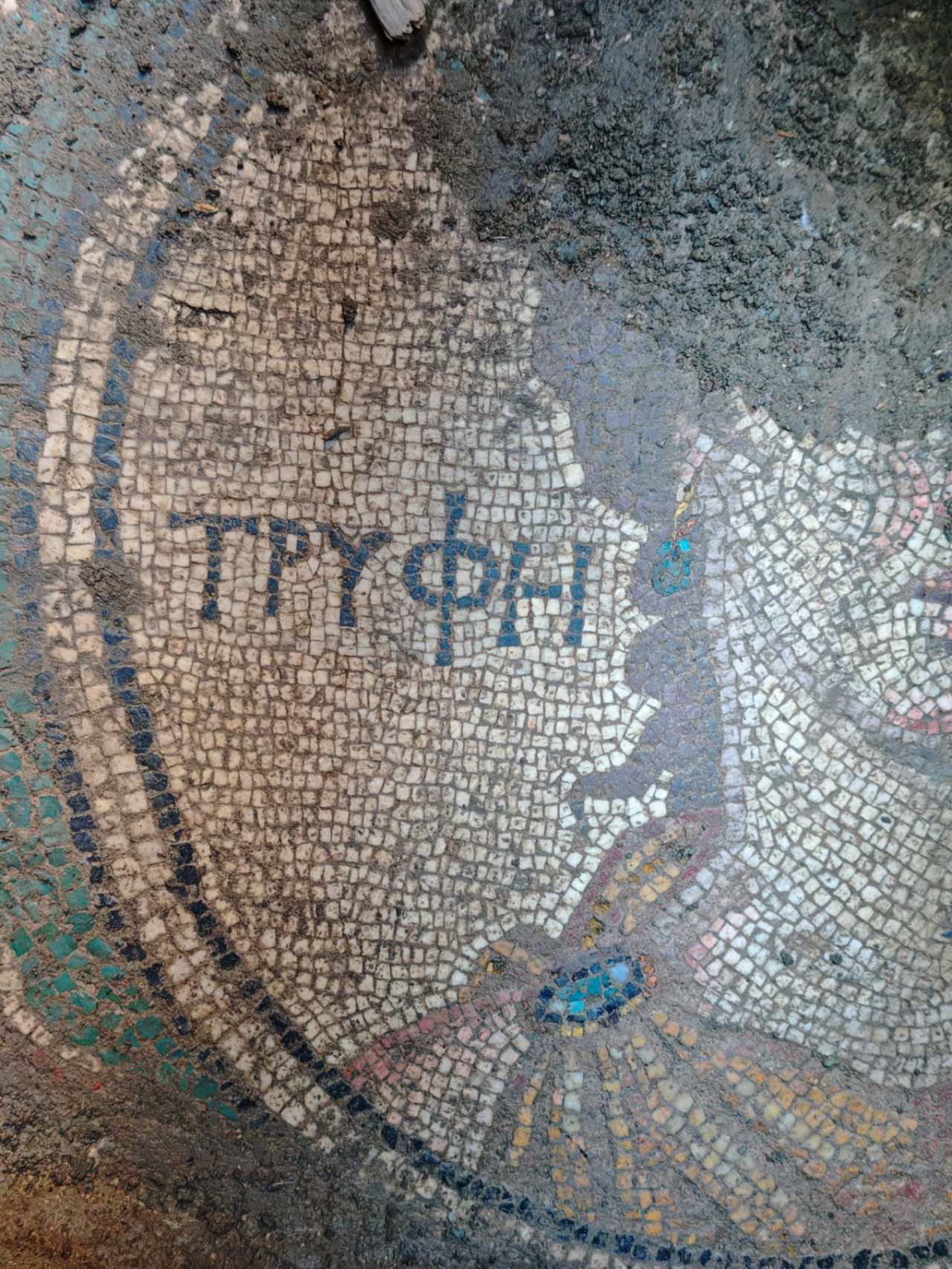 Tokat'ta kaçak kazıda Roma dönemine ait mozaik bulundu