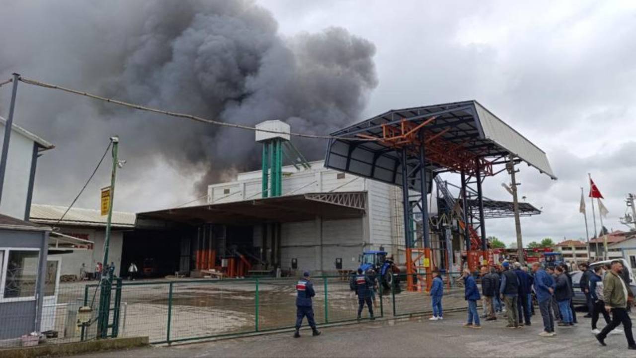 Sakarya'da fabrika yangını!