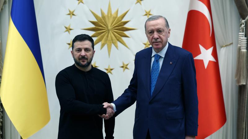 Ukrayna Devlet Başkanı Volodimir Zelenski Ankara'da