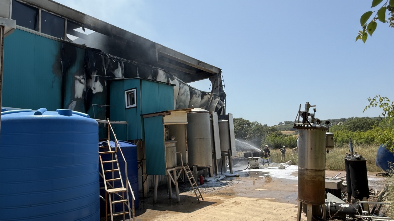 Çanakkale'de bir fabrikada patlama sonrası çıkan yangında 1 kişi yaralandı