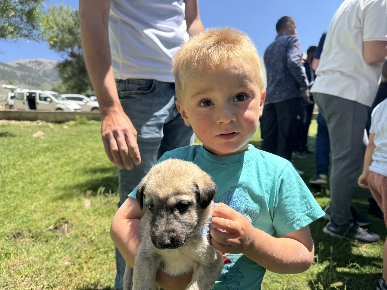 Isparta'da küçükbaş hayvan yetiştiricilerine çoban köpeği dağıtıldı