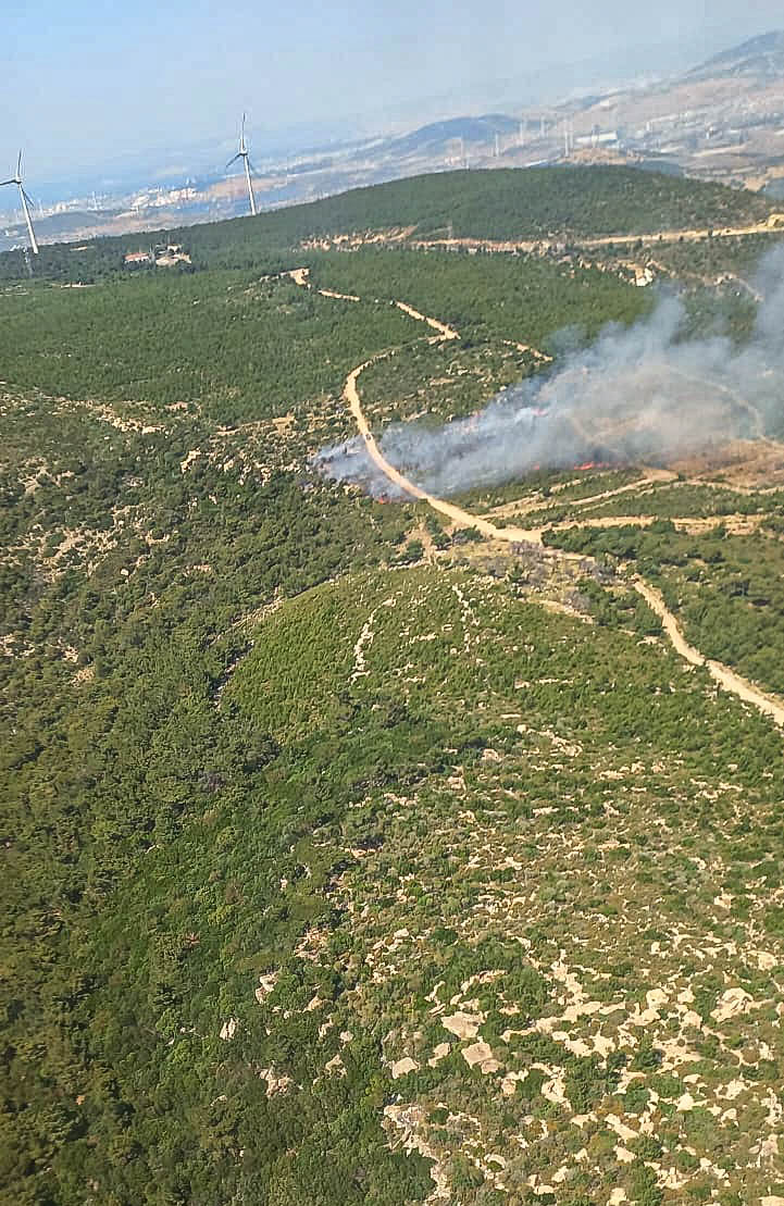 İzmir'in Foça ilçesinde çıkan orman yangınına müdahale ediliyor
