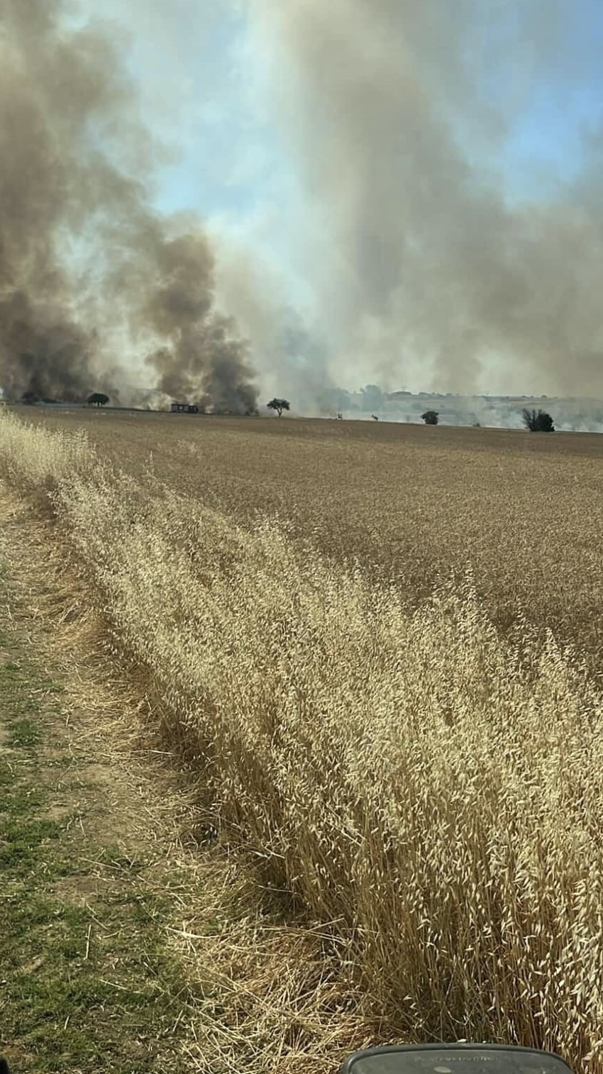 Tekirdağ'da 300 dekar buğday ekili alan yandı