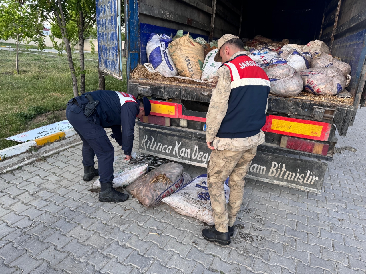 Van'da kaçak avlanmış 19 ton 200 kilogram inci kefali ele geçirildi