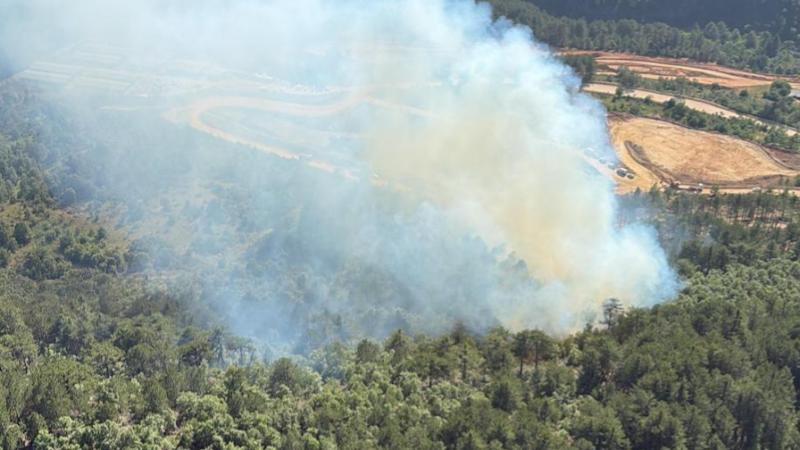Balıkesir'de orman yangını kontrol altına alındı