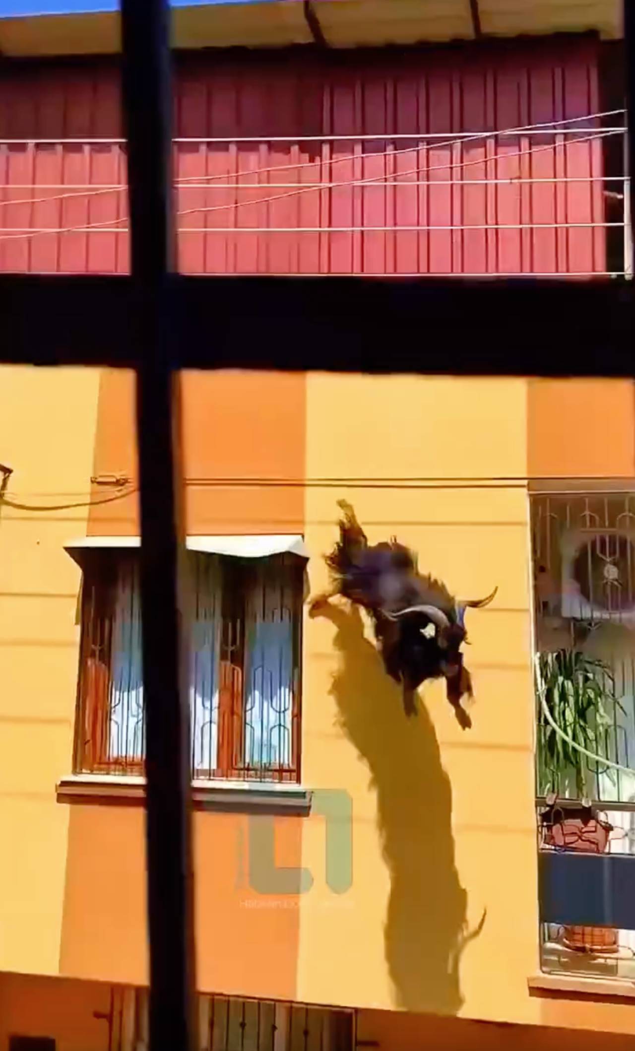 Daha önce böyle bir kaçış görmediniz