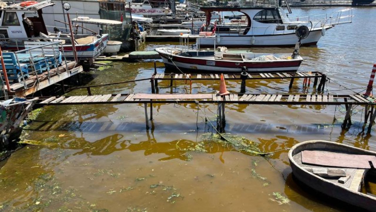 İzmit'te deniz kıyısı kahverengiye döndü
