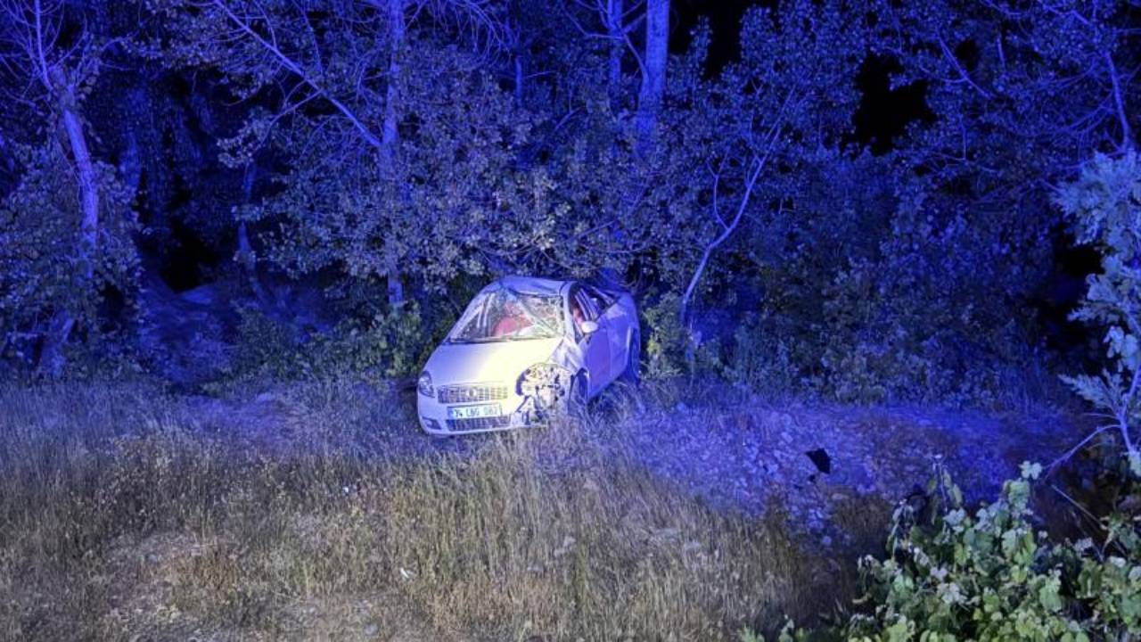 Tunceli'de şarampole devrilen otomobilin sürücüsü yaralandı