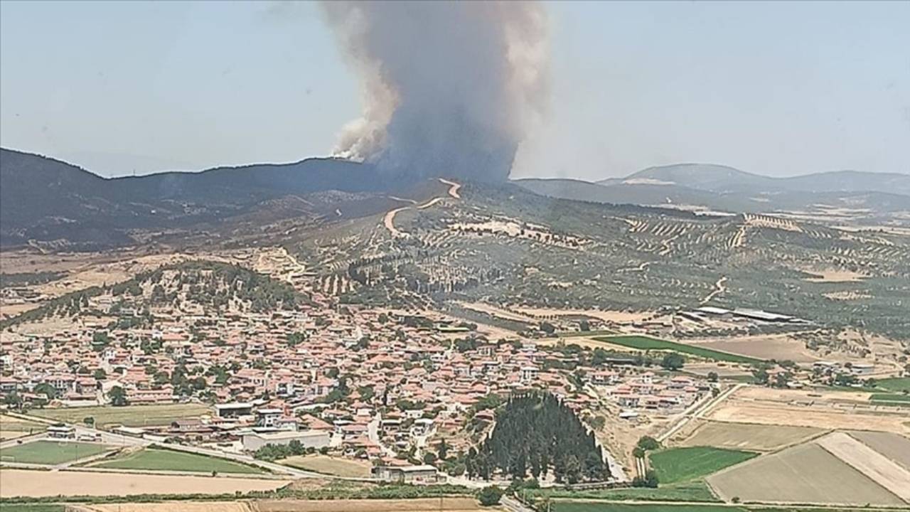 İzmir'in Foça ilçesinde orman yangını!