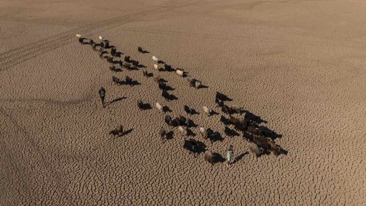 Mardin Mazıdağı’nda bulunan gölet tamamen kurudu