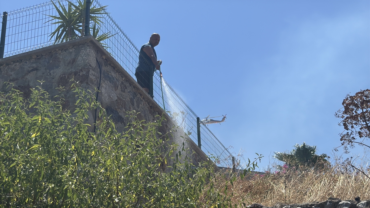 Bodrum'da tarım arazisi ve otluk alanda çıkan yangın söndürüldü