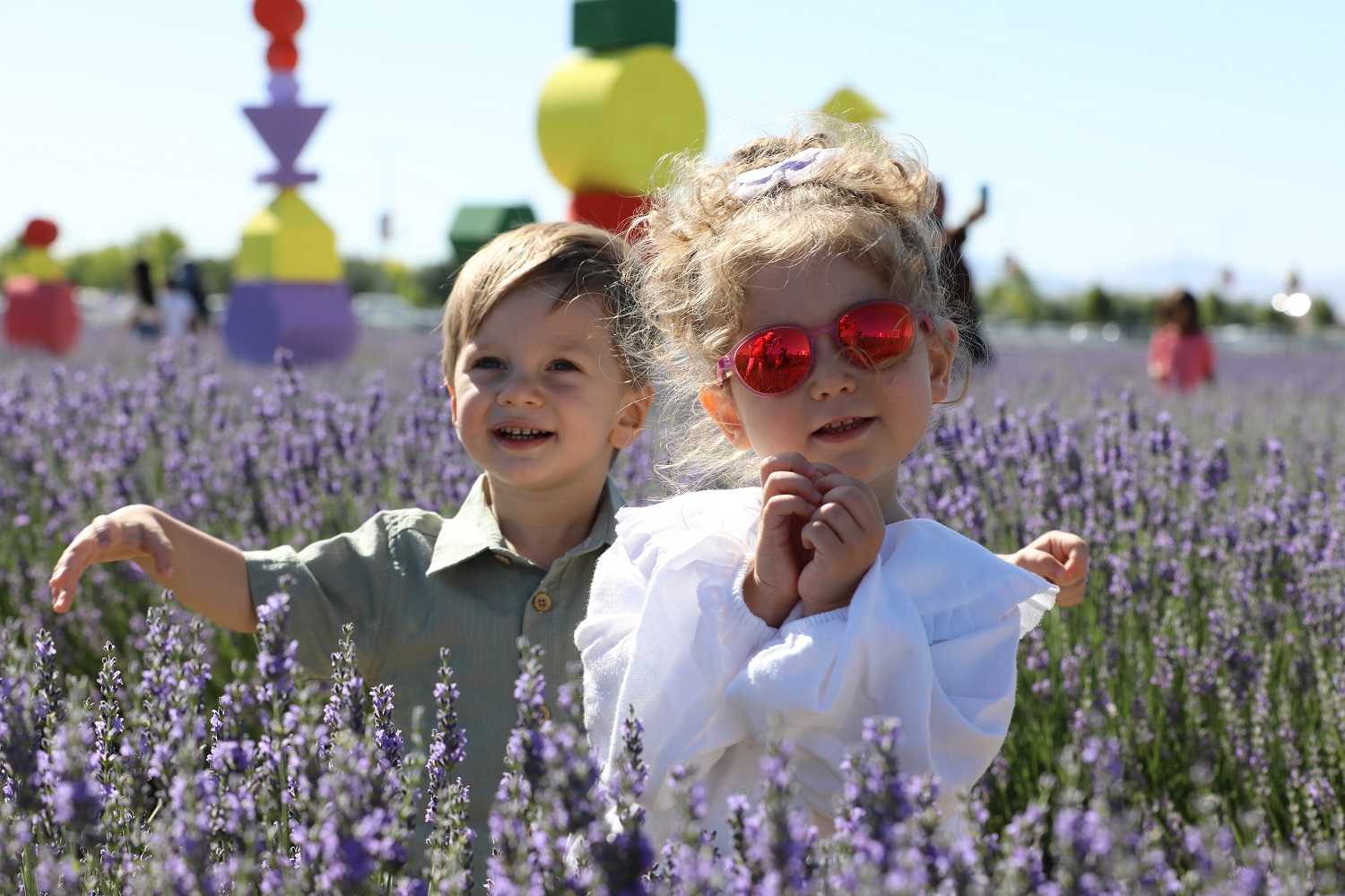 Lavanta Günleri (1)