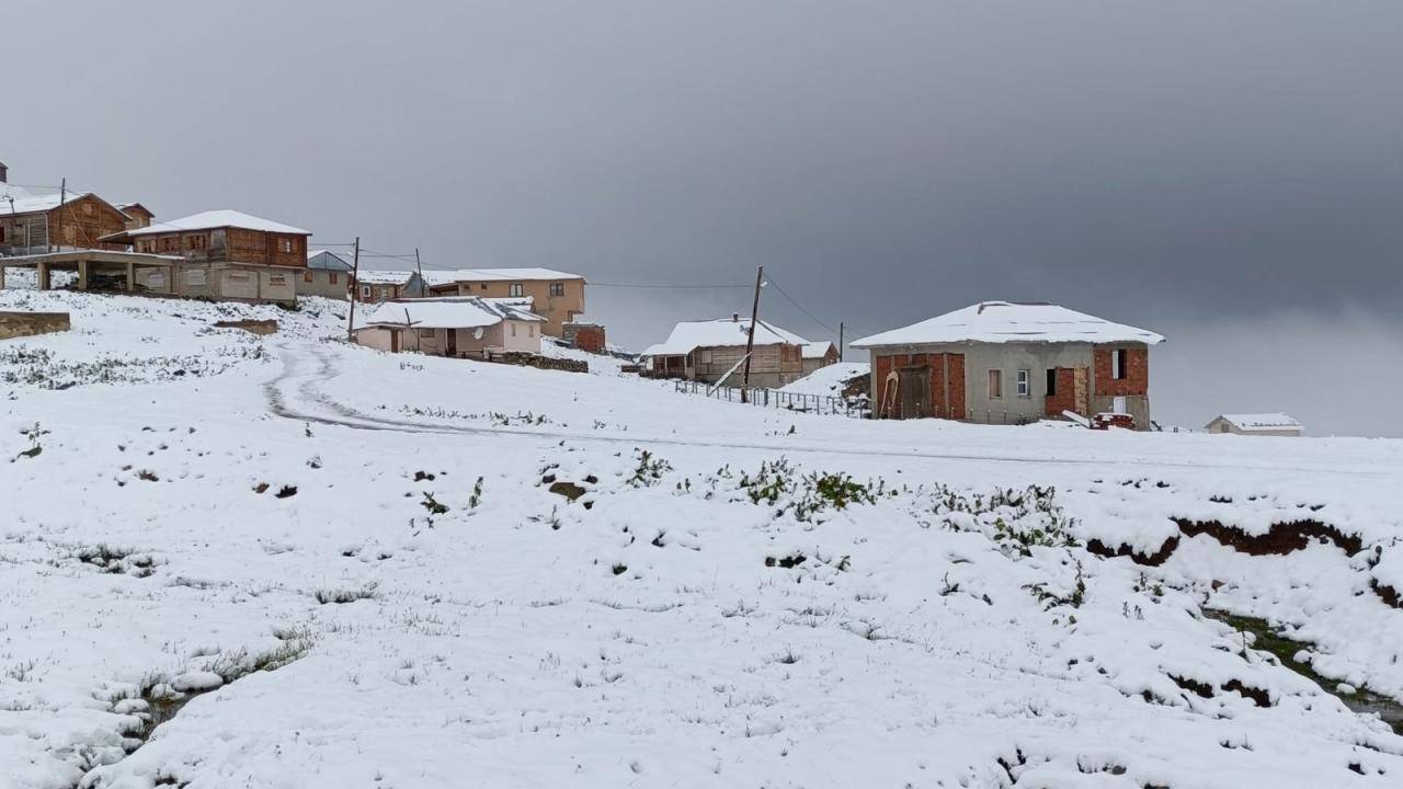 Rize ve Trabzon'un yüksek kesimlerine temmuz karı