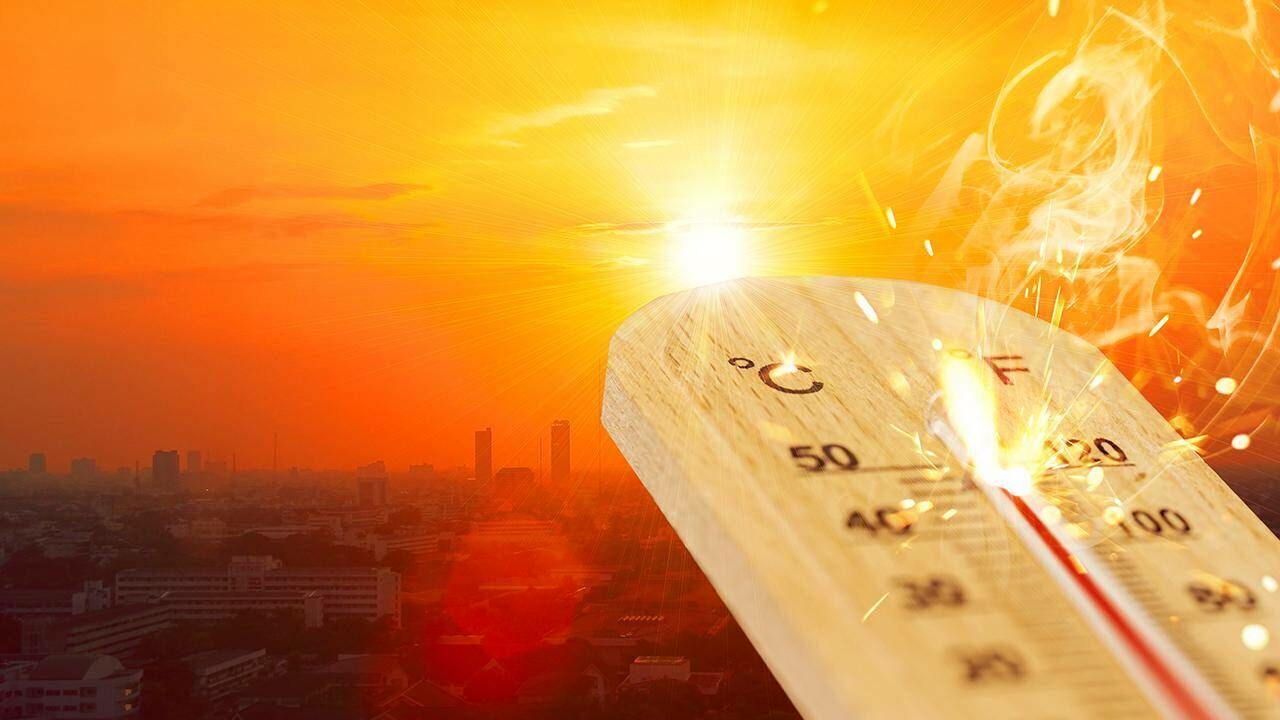 Avrupa'da aşırı sıcak! 35 bin kişi öldü