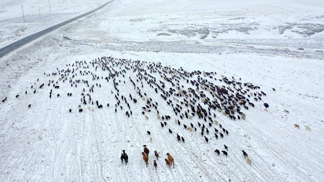 Ağrı'da kar var mı?