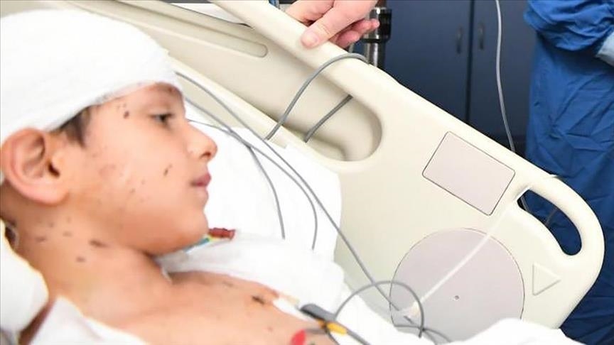 Köpek Saldırısı-6