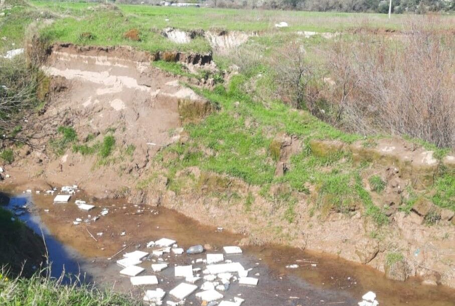 Whatsapp Image 2026 03 01 At 13.00.32 (1)