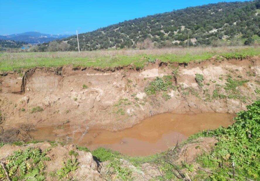 Whatsapp Image 2026 03 01 At 13.00.32 (2)