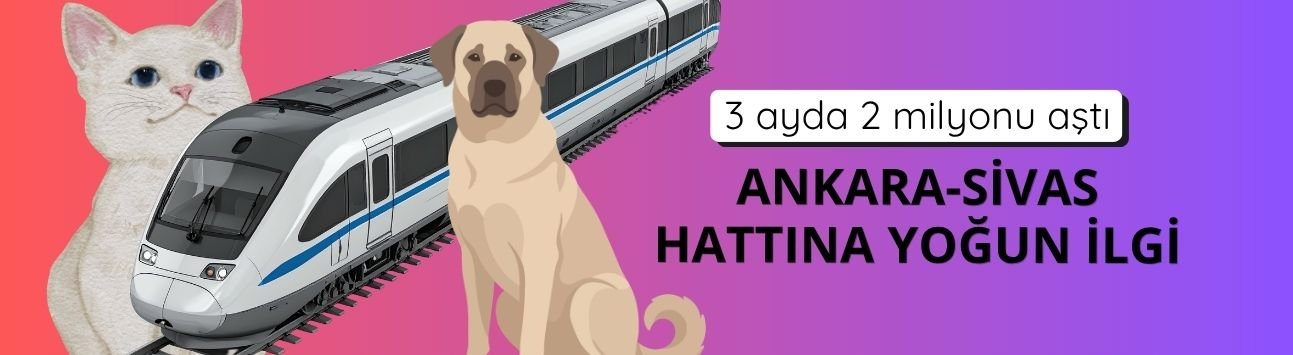 Ankara-Sivas YHT Hattı'na yoğun ilgi