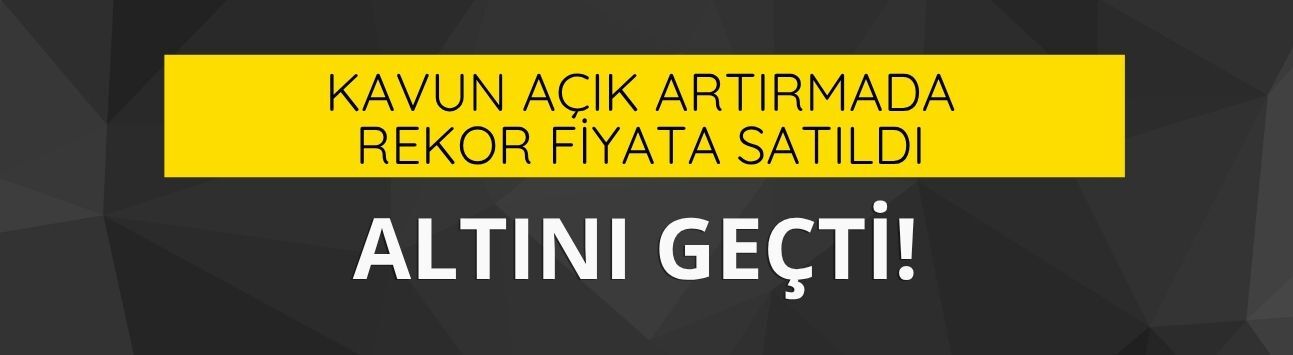 Kavun açık arttırmada yaklaşık 36 bin 500 dolara satıldı