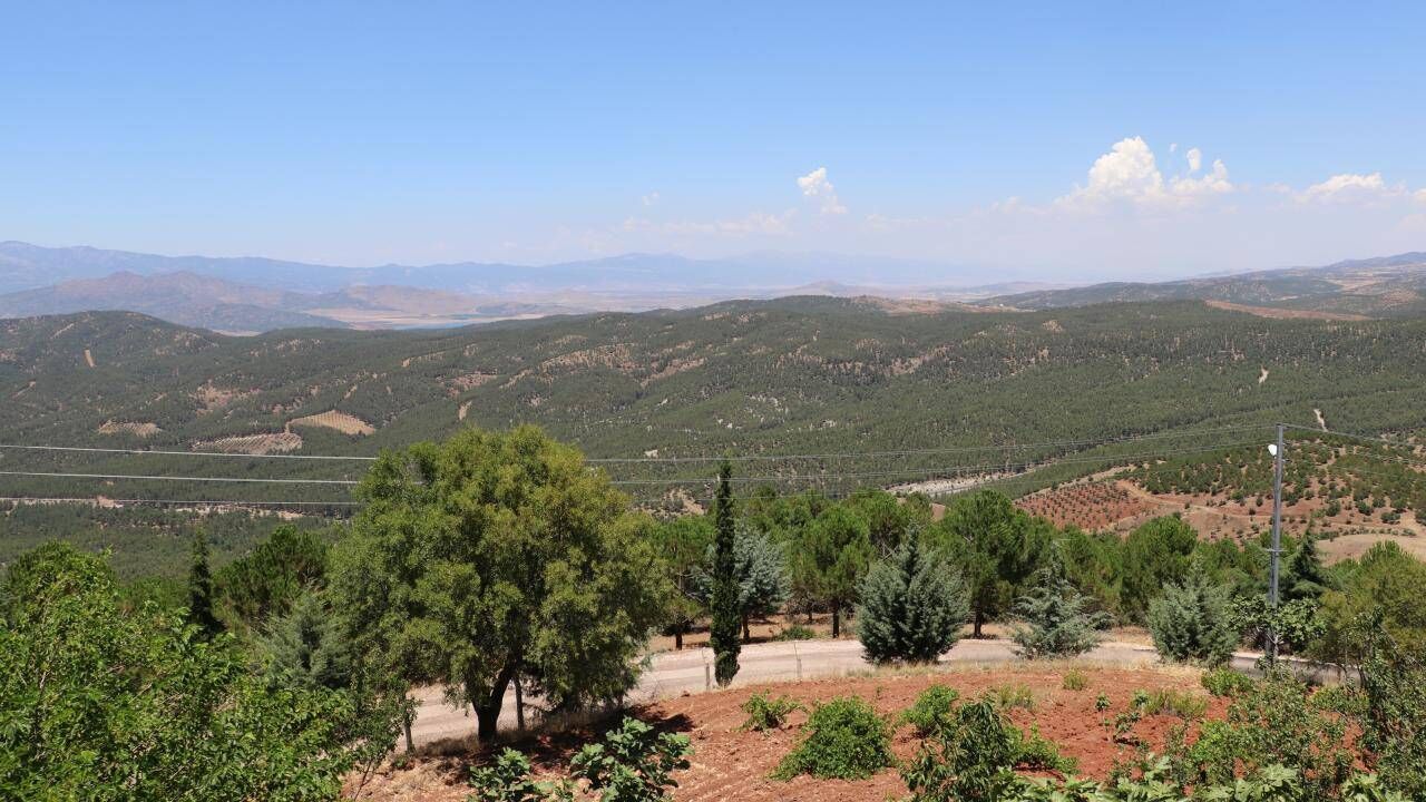 Balıkesir'de orman yangınına müdahale ediliyor
