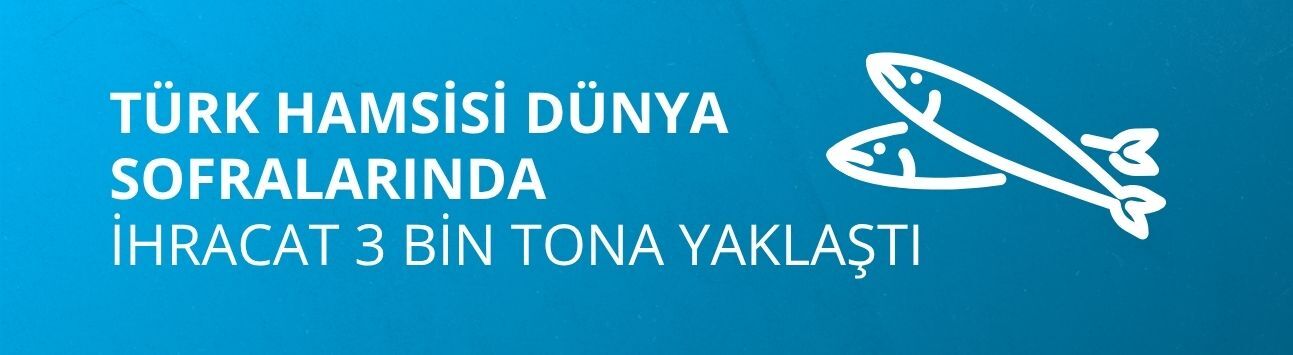 Türk hamsisi dünya sofralarında: İhracat 3 bin tona yaklaştı