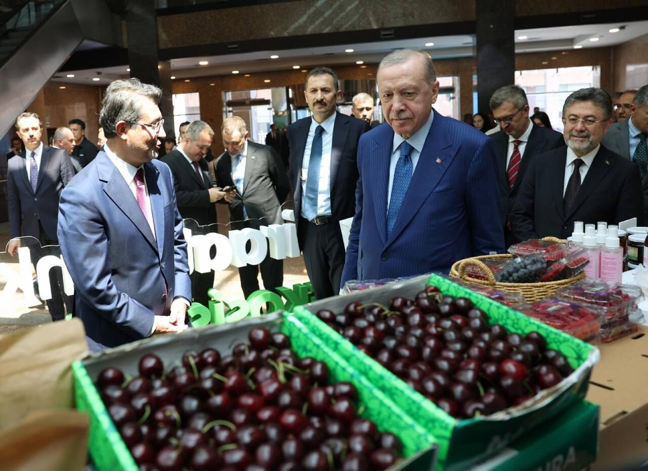 Erdoğan-127