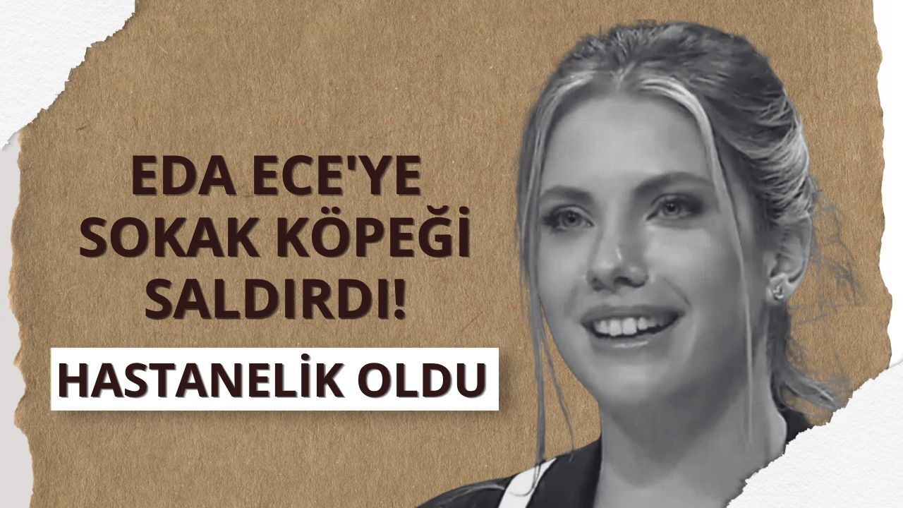 Eda Ece'ye sokak köpeği saldırdı! Hastanelik oldu