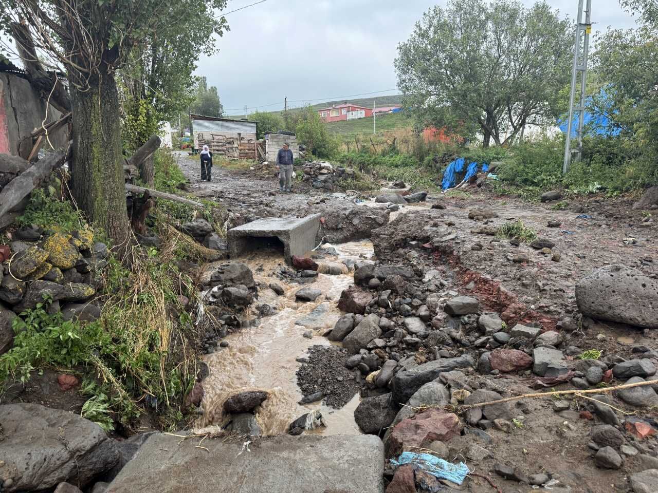 Ardahan'da sağanak ve dolu hasara neden oldu