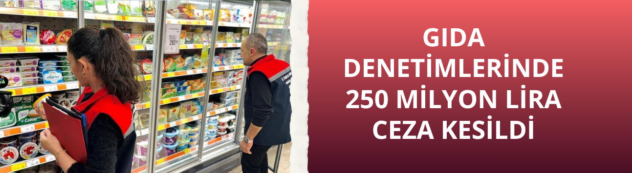 Gıda denetimlerinde 250 milyon lira ceza kesildi
