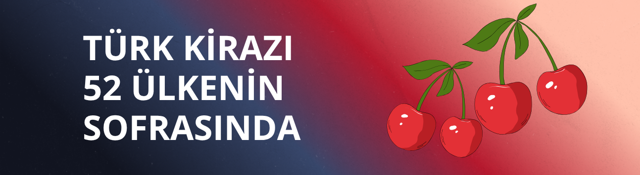 Türk kirazı 52 ülkenin sofrasında