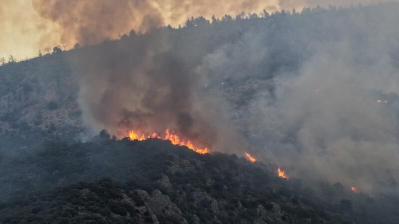 Uzmanından orman yangını uyarısı: 30-30-30 kuralında kırmızı alarm
