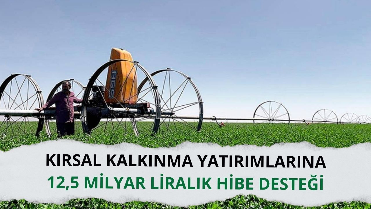 Kırsal kalkınma yatırımlarına 12,5 milyar liralık hibe desteği