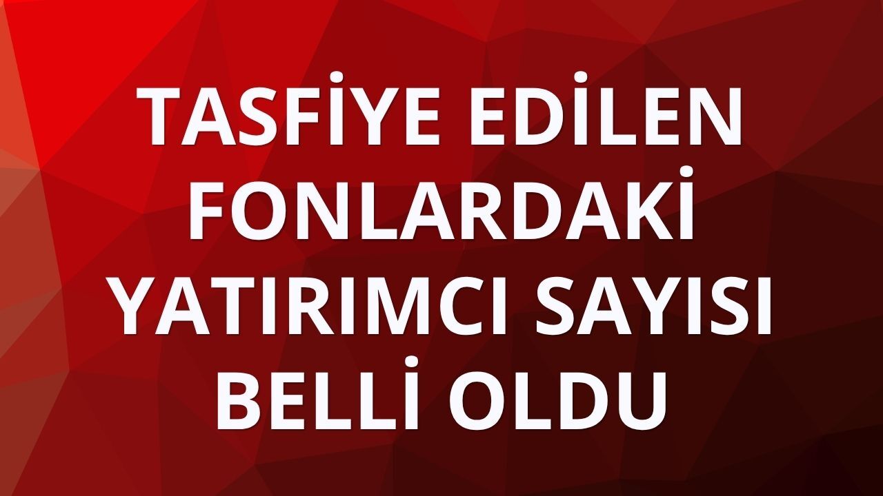 SPK: Tasfiye edilen 131 fondaki yatırımcı sayısı 455 bin 758