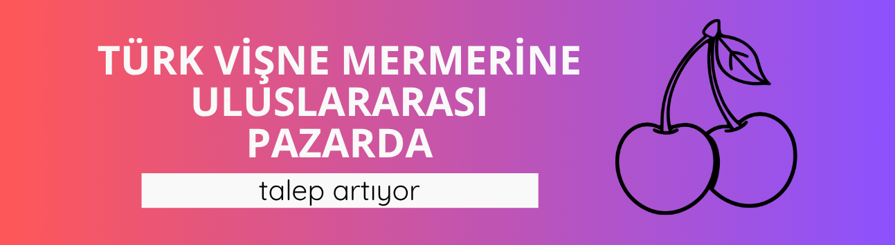Türk vişne mermerine uluslararası pazarda talep artıyor