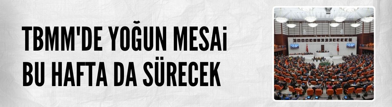 Meclis'te yoğun mesai bu hafta da sürecek