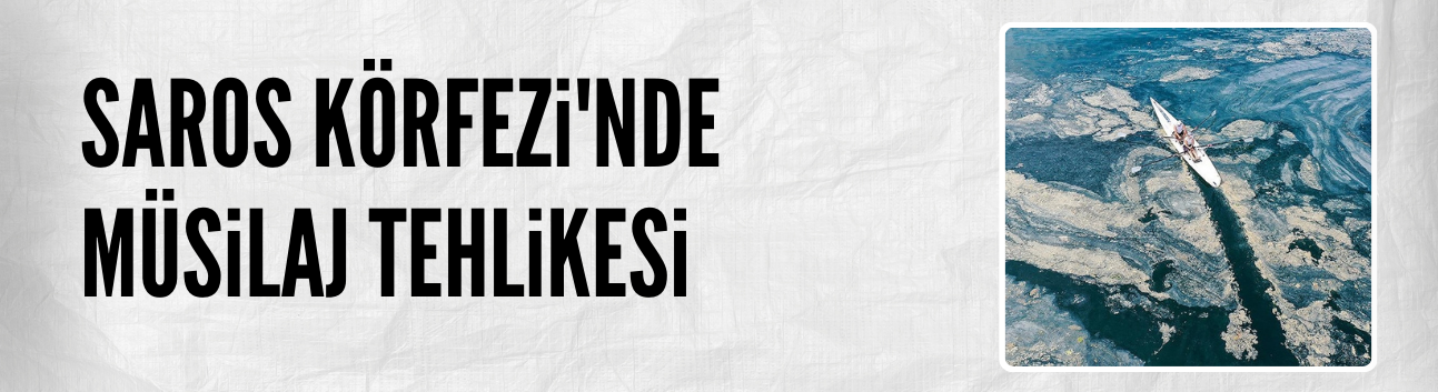Saros Körfezi'ne ulaşan müsilaj deniz çayırlarını tehdit ediyor