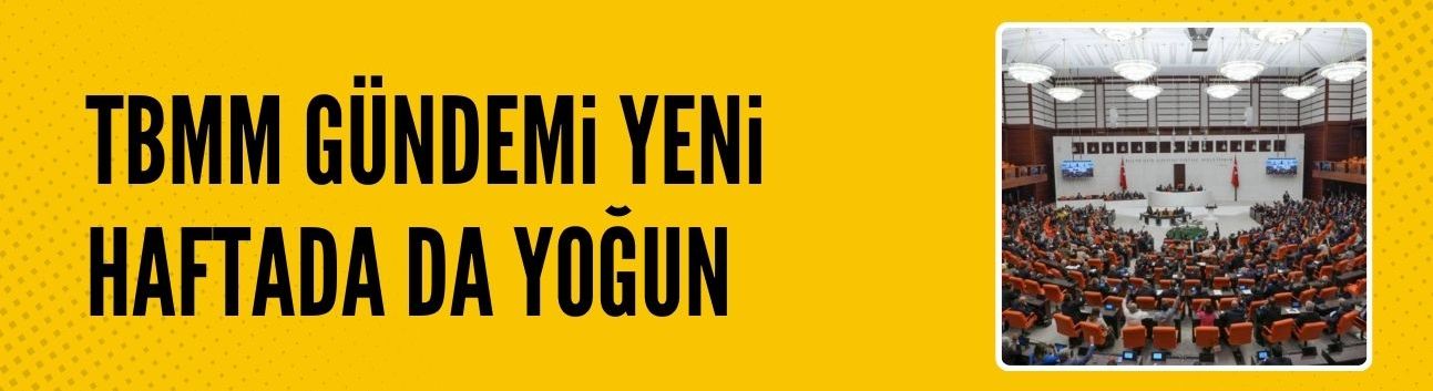 TBMM'nin gündemi bu haftada yoğun