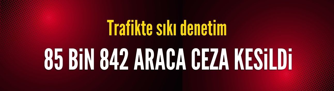 Son bir haftada 3,5 milyon araç denetlendi