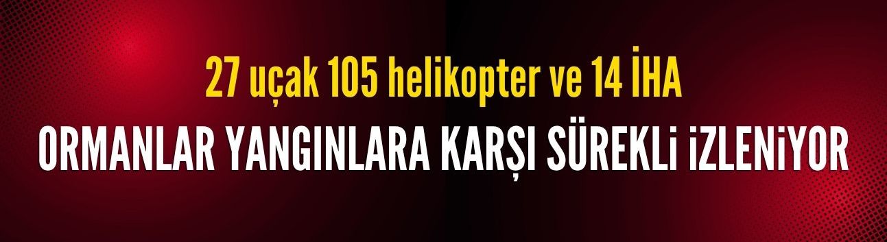 Ormanlar yangınlara karşı sürekli izleniyor