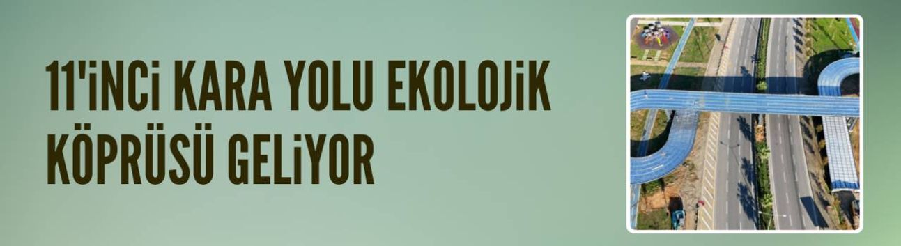 Türkiye'nin 11'inci kara yolu ekolojik köprüsü geliyor