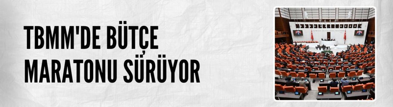 TBMM'de bütçe maratonu devam ediyor