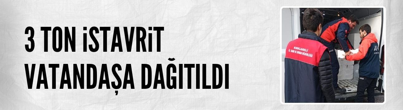 Yasal boy sınırı altındaki 3 ton istavrit yakalandı