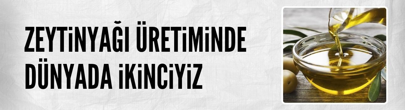 Türkiye zeytinyağı üretiminde dünya ikincisi
